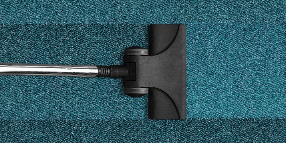 Professionally Cleaned Carpet