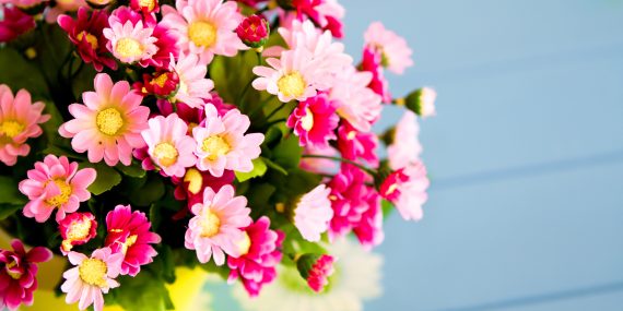 Fresh Flowers in Toronto