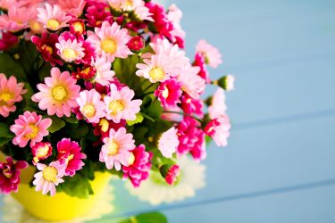 5 Reasons to Buy Fresh Flowers Instead of Dried Flowers.
